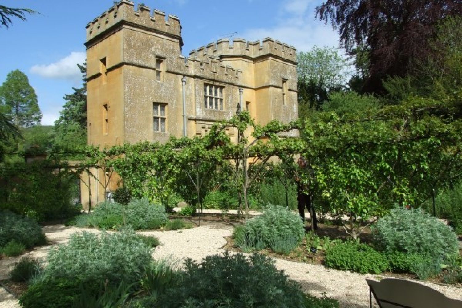 A shot inside Sudeley's Physic Garden