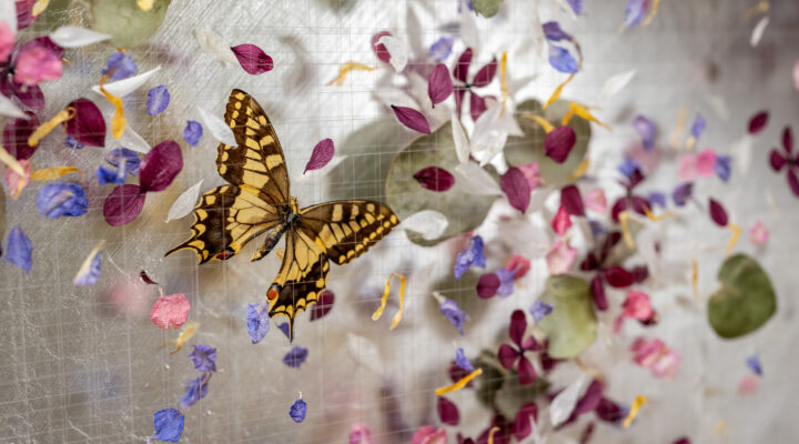 Image for The Art of Flowers
