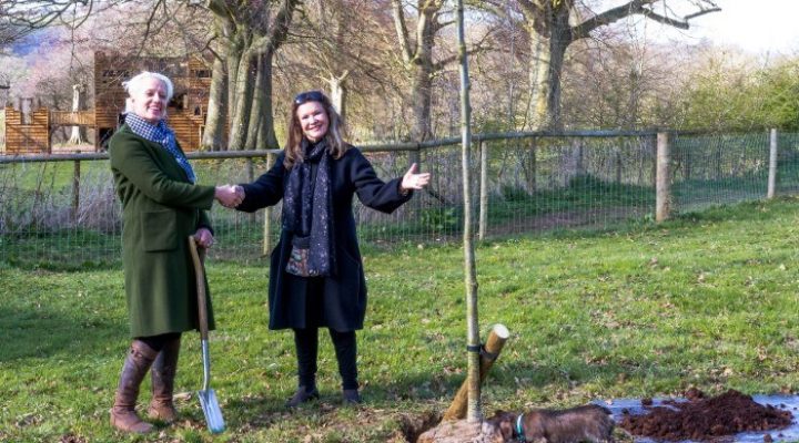 Image for Giffords Circus putting down roots at Sudeley Castle