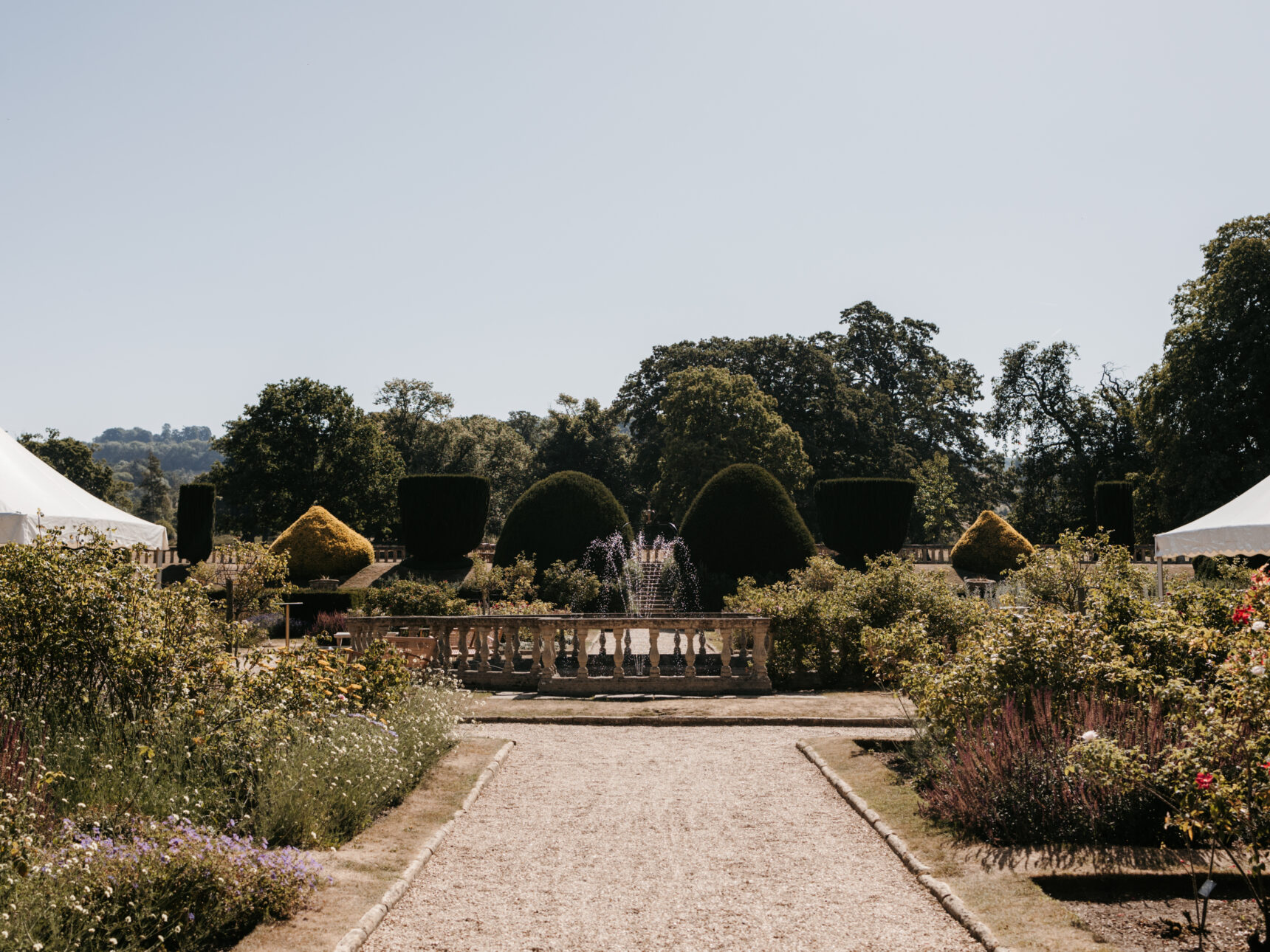 The Queen's Garden full of blooming rose bushes throughout the summer months.