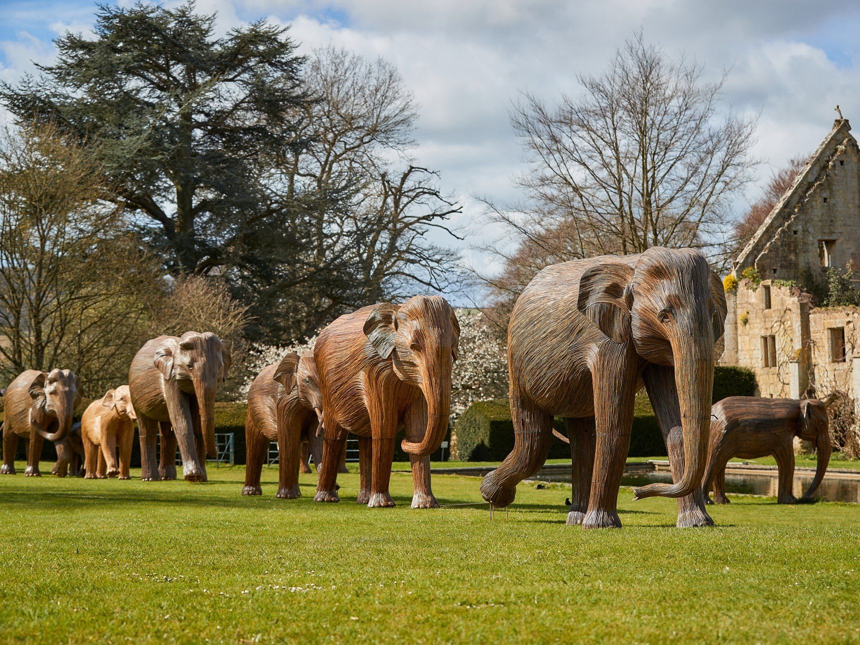 Herd of Elephant Sculptures in position walking across castle lawn